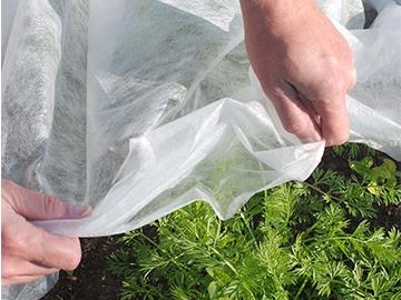 中下.jpg Address your needs